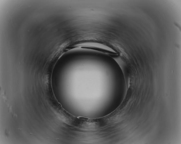 X0000096390260200801311327