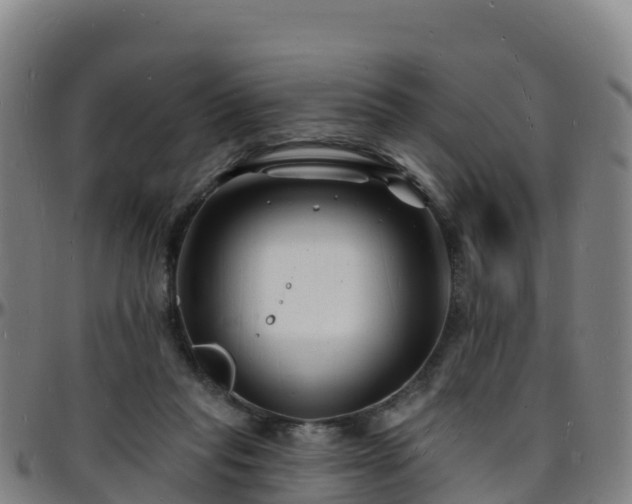 X0000096390261200801311327
