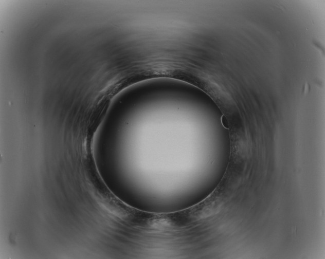 X0000096390262200801311327