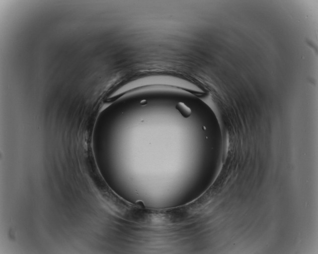 X0000096390264200801311327