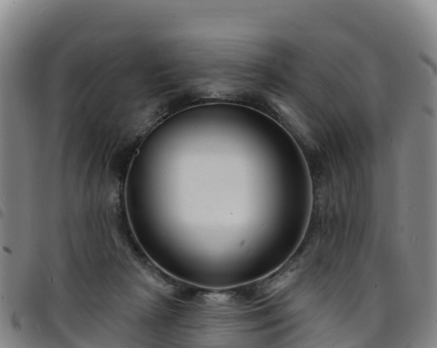 X0000096390265200801311327
