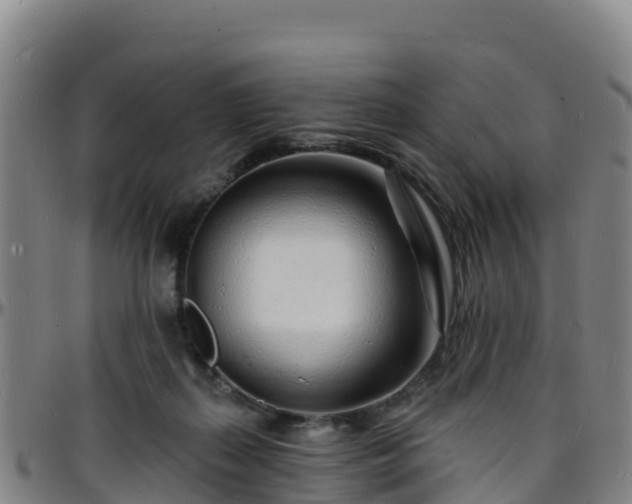 X0000096390267200801311327