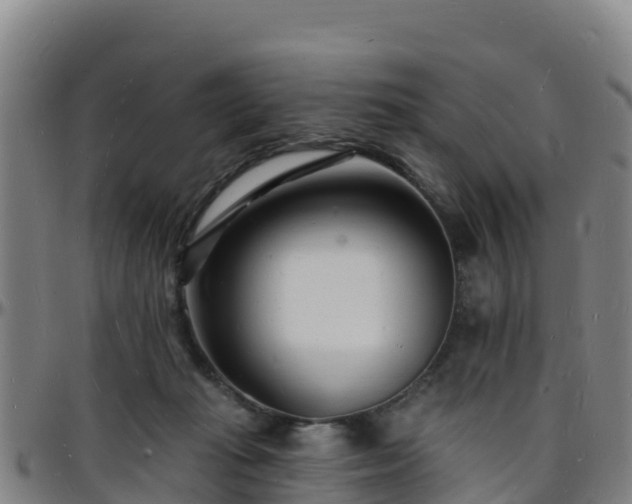 X0000096390269200801311327