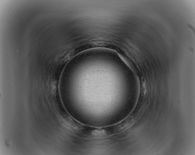 X0000096390271200801311327