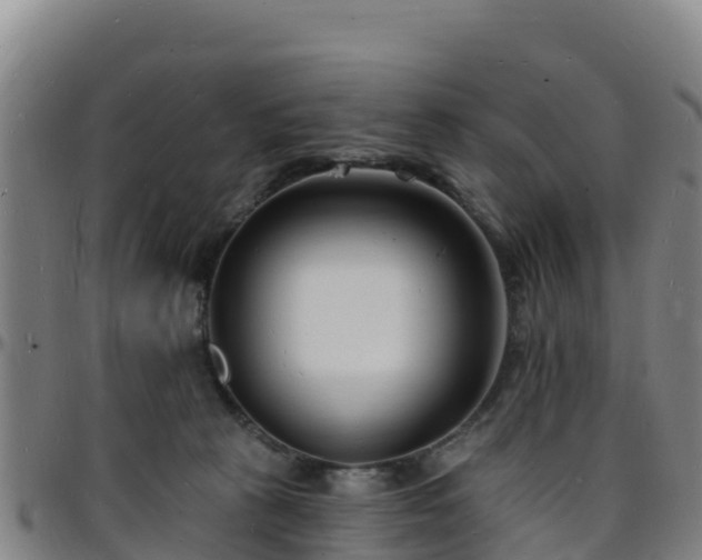 X0000096390273200801311327