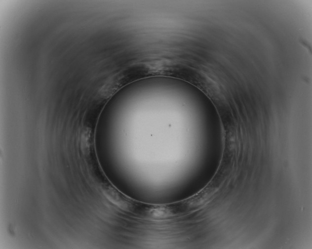 X0000096390275200801311327