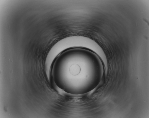 X0000096390276200801311327