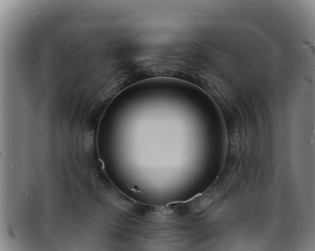 X0000096390278200801311327