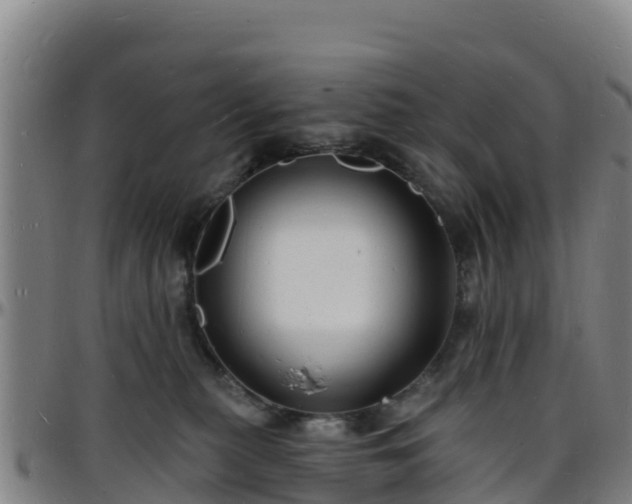 X0000096390279200801311327