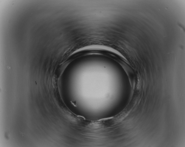 X0000096390280200801311327