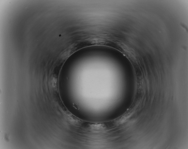 X0000096390281200801311327