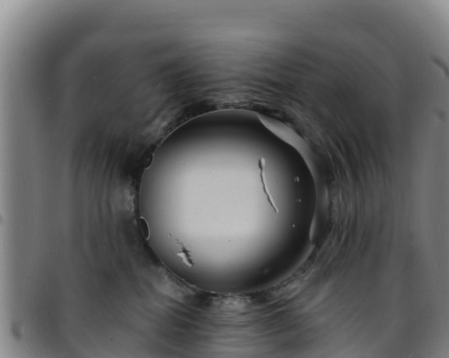 X0000096390282200801311327