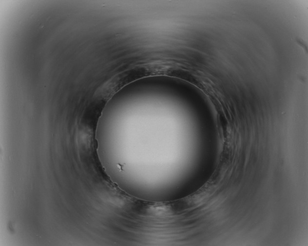 X0000096390283200801311327