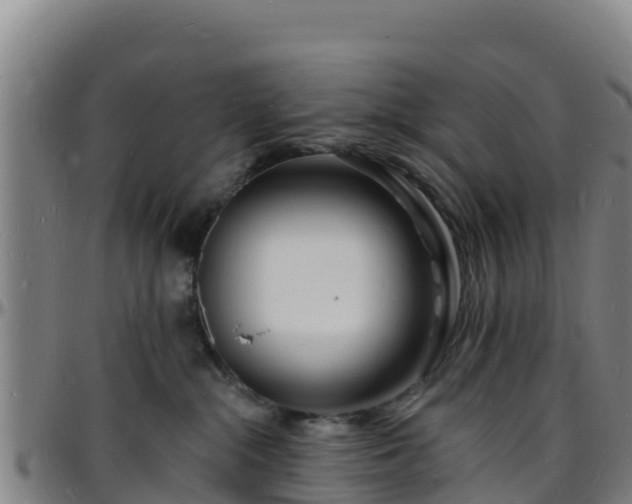 X0000096390284200801311327
