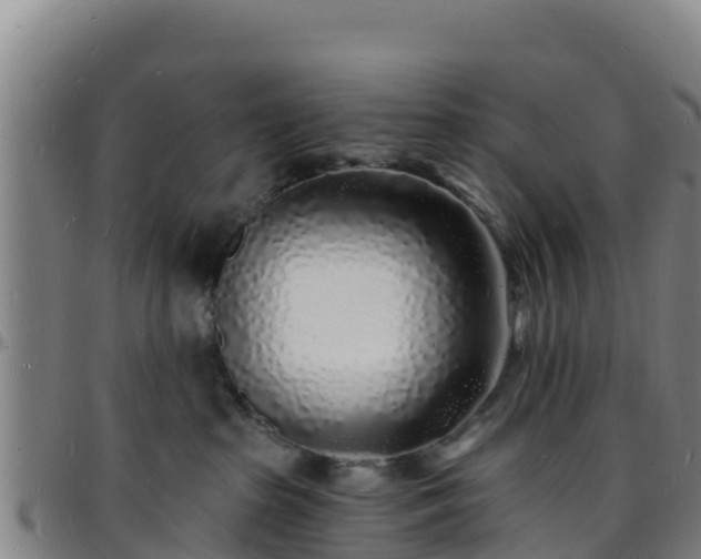 X0000096390285200801311327