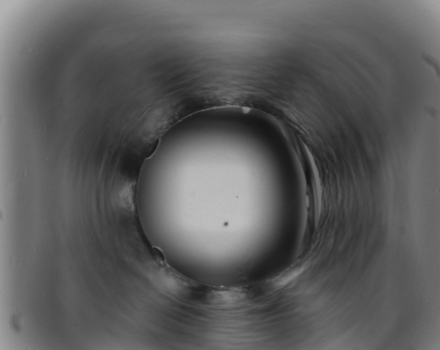 X0000096390286200801311327