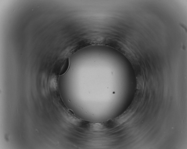 X0000096390287200801311327