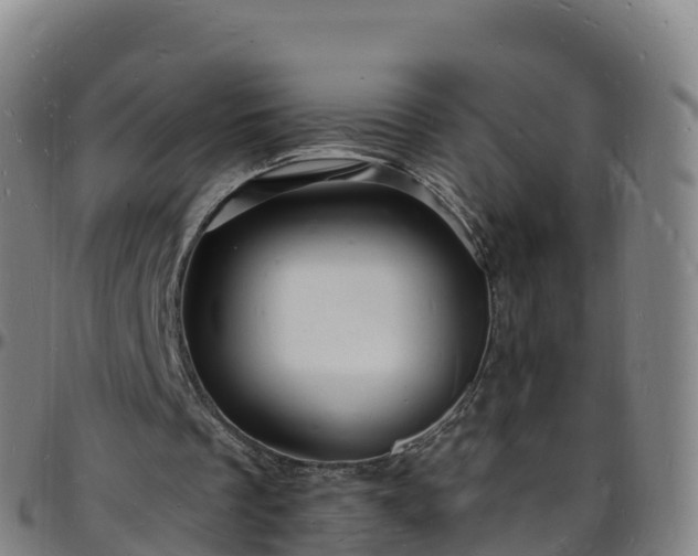 X0000096390289200801311327