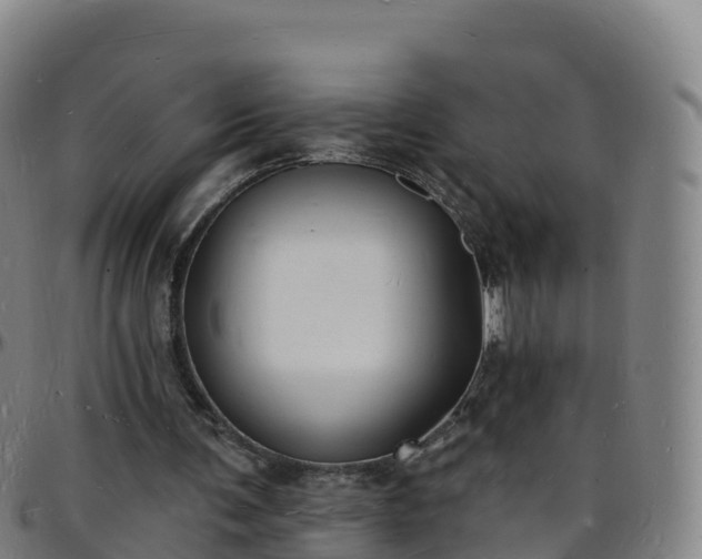 X0000096390291200801311327