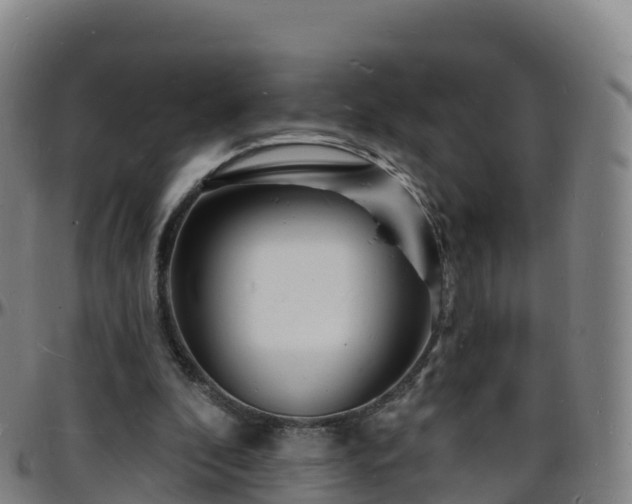 X0000096390296200801311327