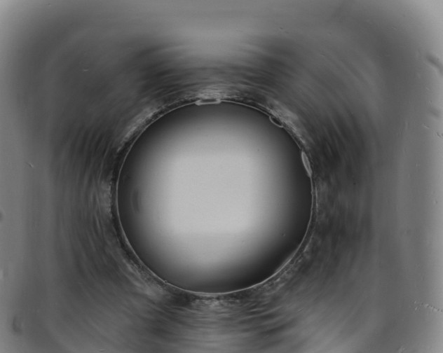 X0000096390297200801311327
