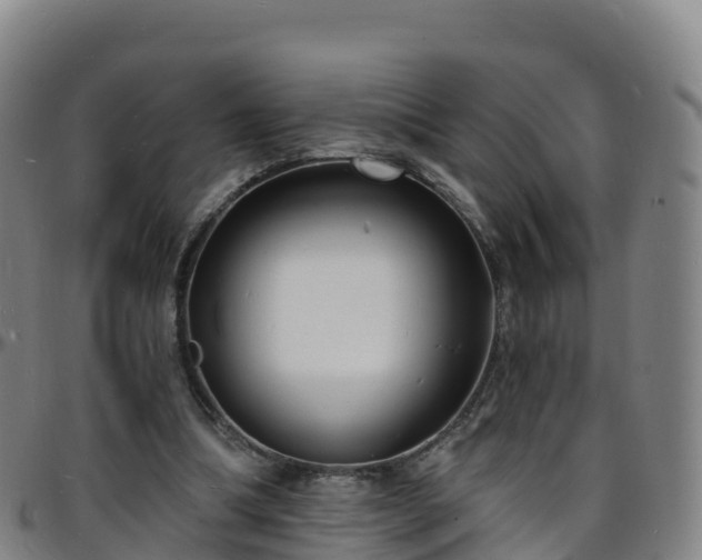 X0000096390298200801311327