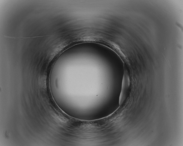 X0000096390299200801311327