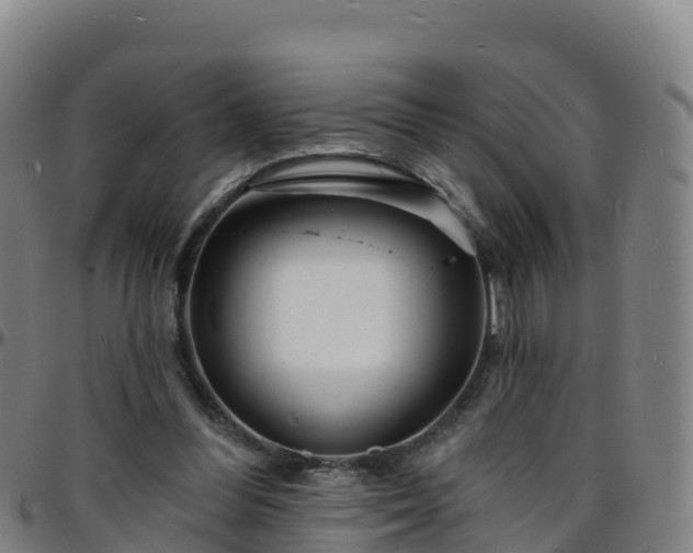 X0000096390300200801311327