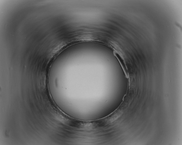 X0000096390301200801311327