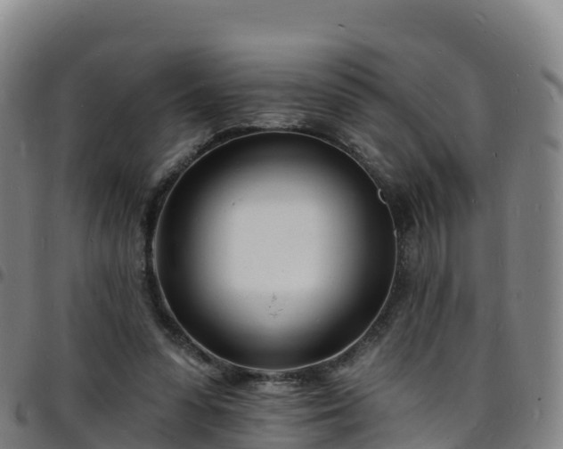 X0000096390303200801311327