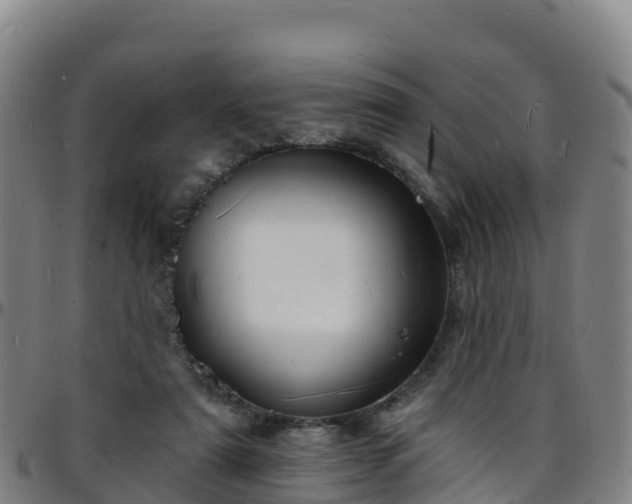 X0000096390307200801311327