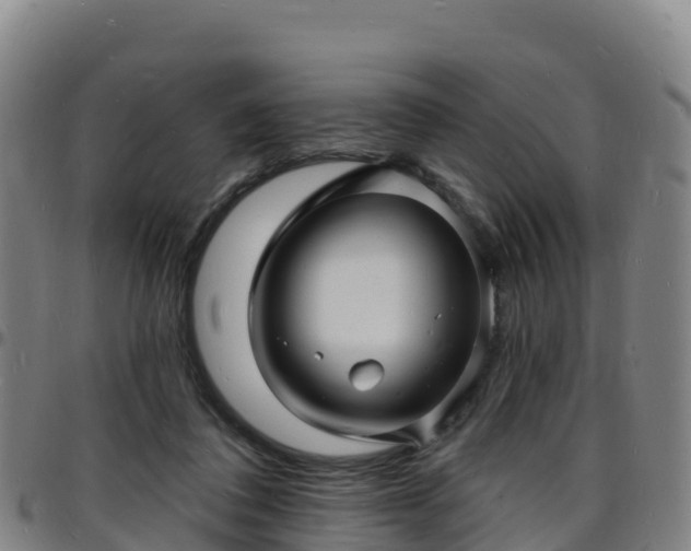 X0000096390308200801311327