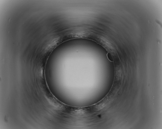 X0000096390310200801311327
