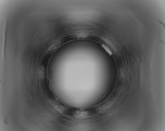 X0000096390311200801311327