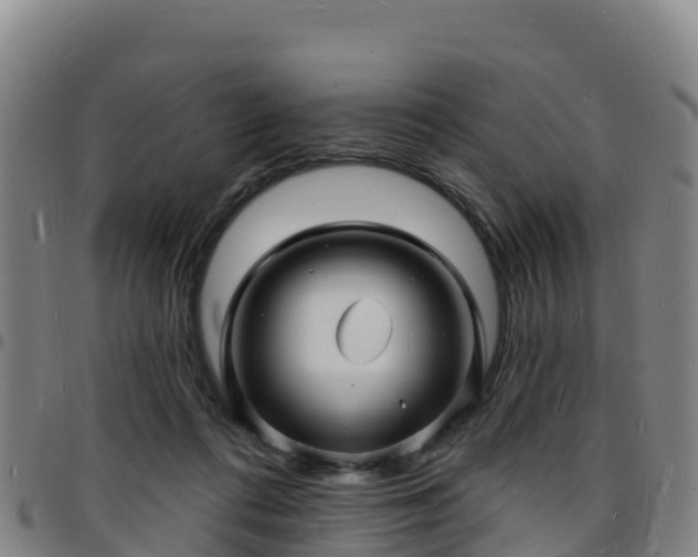 X0000096390312200801311326