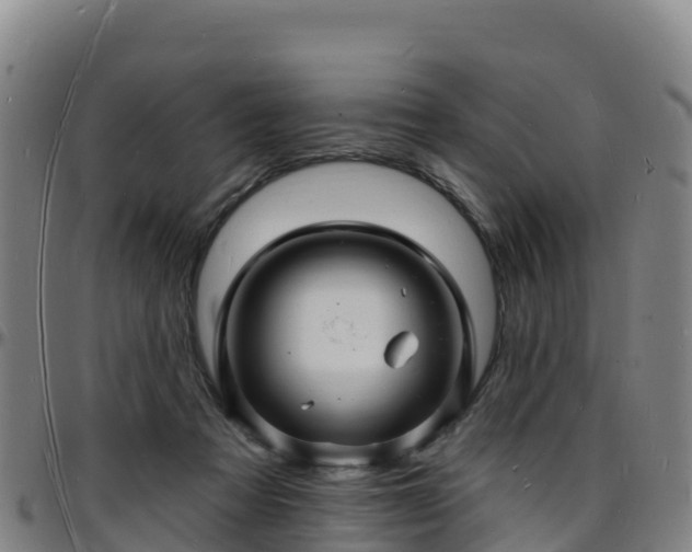 X0000096390313200801311326