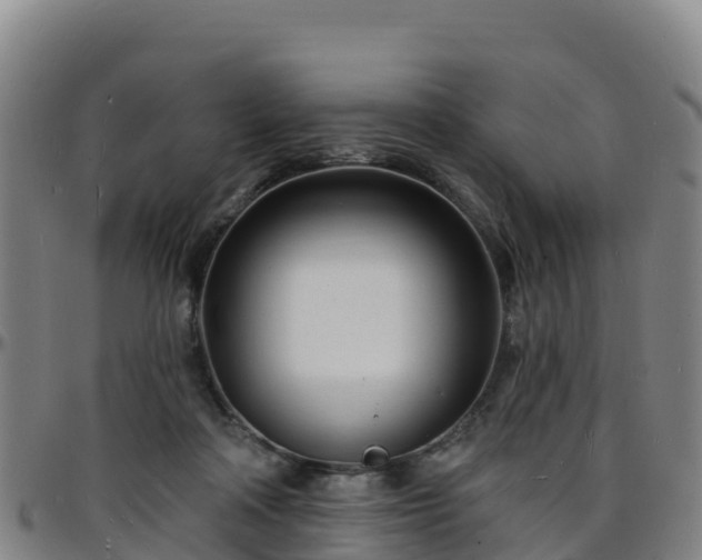 X0000096390314200801311326