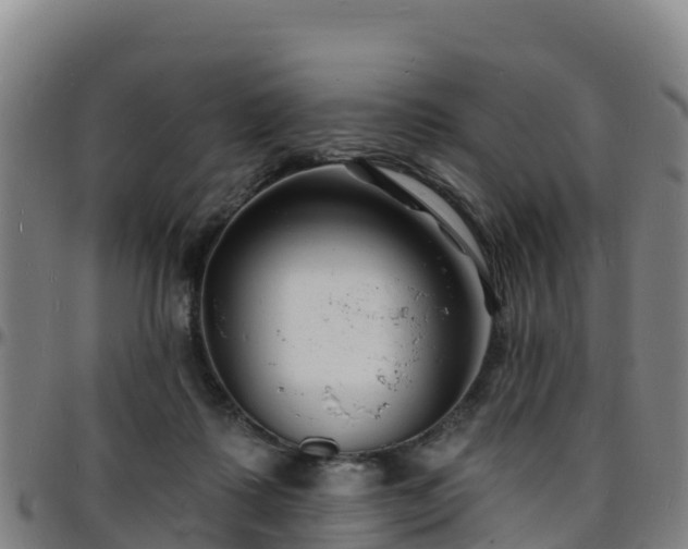 X0000096390315200801311326