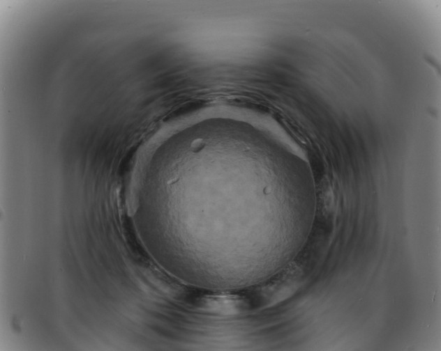 X0000096390316200801311326