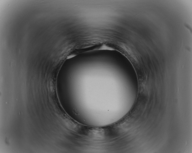 X0000096390317200801311326