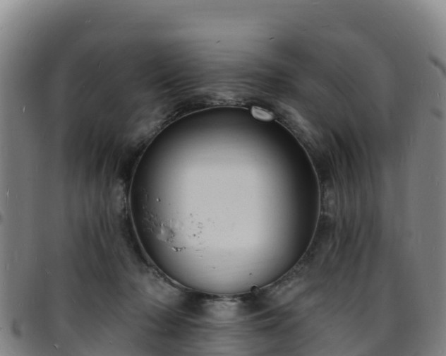 X0000096390318200801311326