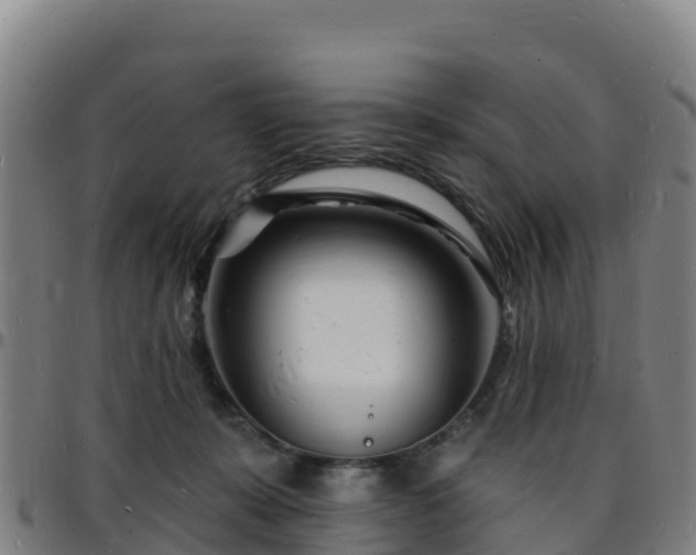 X0000096390319200801311326