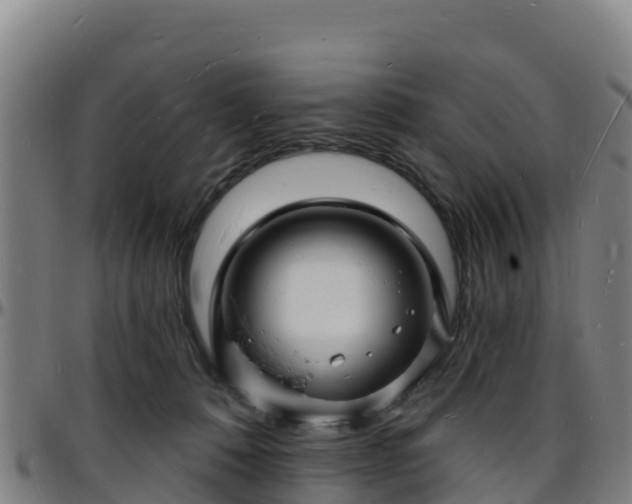 X0000096390320200801311326