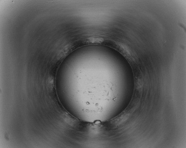 X0000096390321200801311326