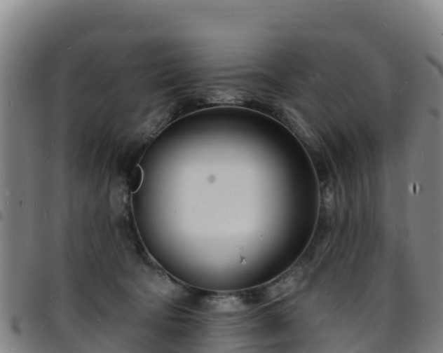 X0000096390322200801311326