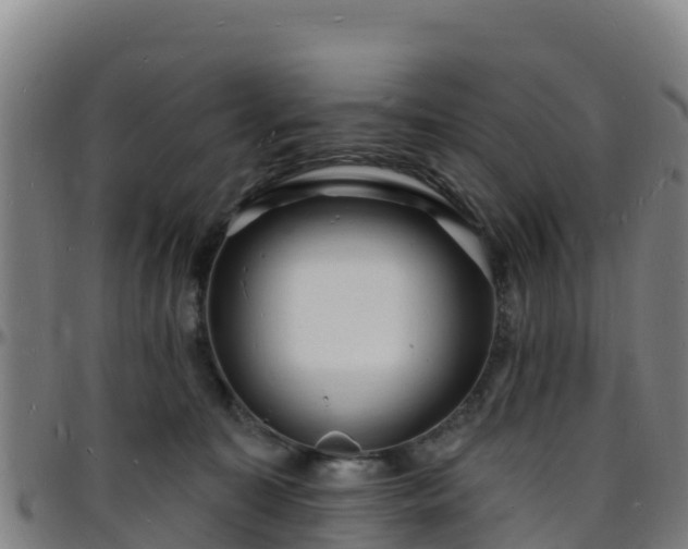 X0000096390323200801311326