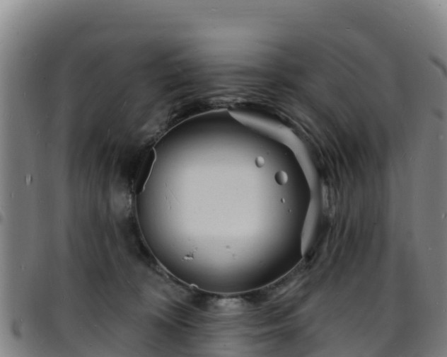X0000096390324200801311326