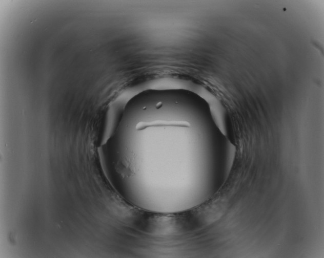 X0000096390325200801311326