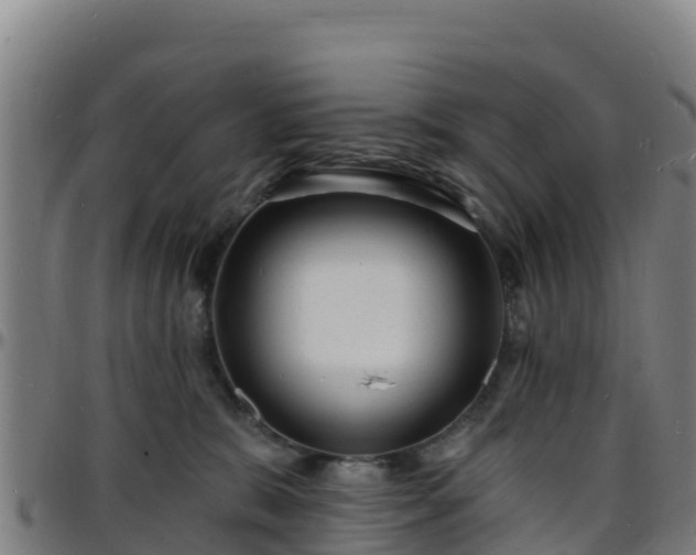 X0000096390327200801311326
