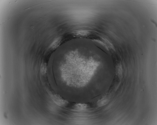 X0000096390328200801311326